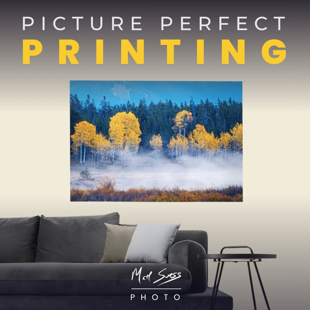 Picture Perfect Printing