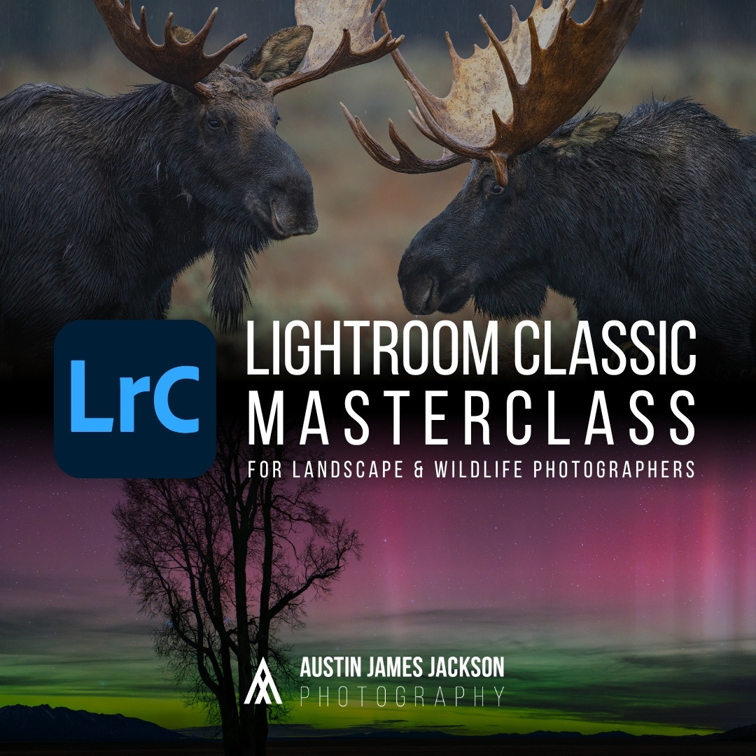 The Lightroom Masterclass